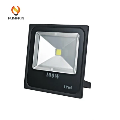 Qualitätssicherung IC-Treiber Niedriges 100-W-LED-Flutlicht